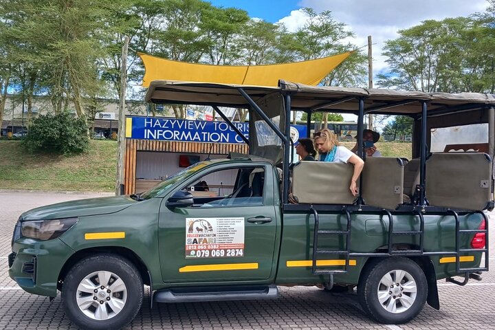Half Day Shared Kruger Safari Hazyview