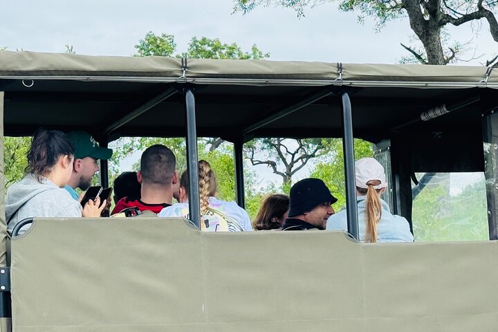 Half Day Shared Kruger Safari Hazyview