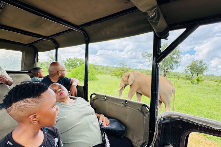 Half Day Shared Kruger Safari Hazyview