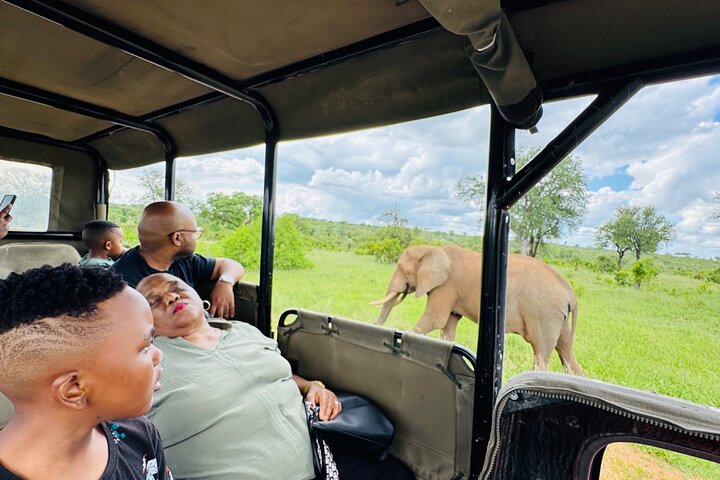 Half Day Shared Kruger Safari Hazyview