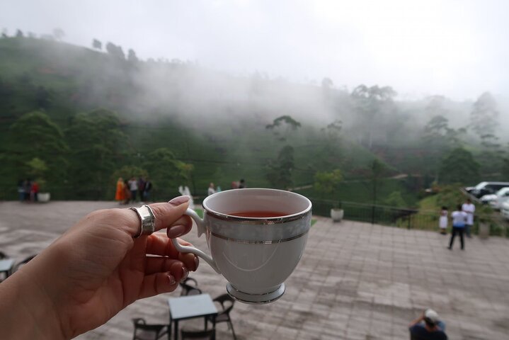 Labookellie Tea Factory Tour from Nuwara Eliya