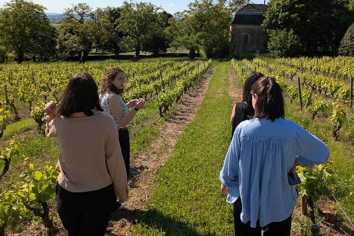 2h immersive tasting in Beaujolais - Wine and Chocolate Accord