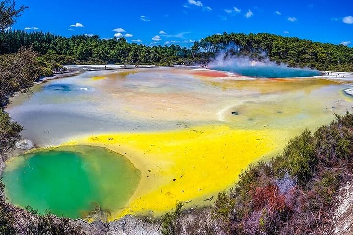 Ex Hamilton: TRIPLE DEAL Wai O Tapu, Redwood Forest & Blue Spring