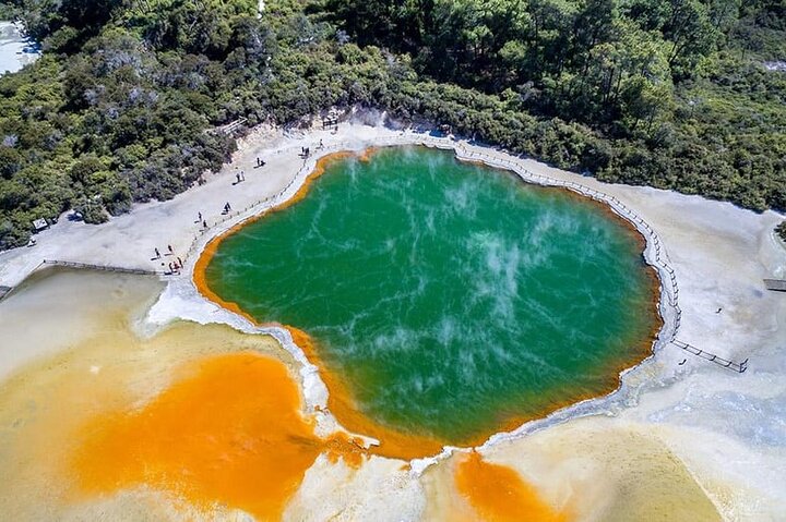 Ex Hamilton: TRIPLE DEAL Wai O Tapu, Redwood Forest & Blue Spring