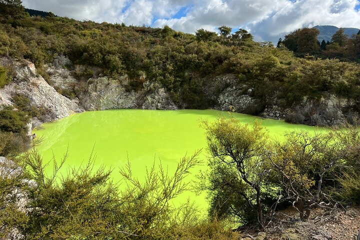 Ex Hamilton: TRIPLE DEAL Wai O Tapu, Redwood Forest & Blue Spring