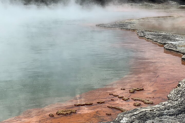 Ex Hamilton: TRIPLE DEAL Wai O Tapu, Redwood Forest & Blue Spring