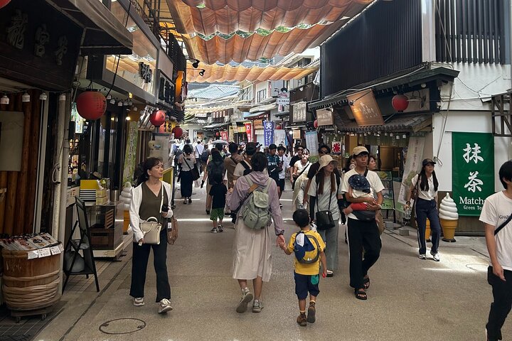 Hiroshima and Miyajima 6 and half Hour Guided Tour