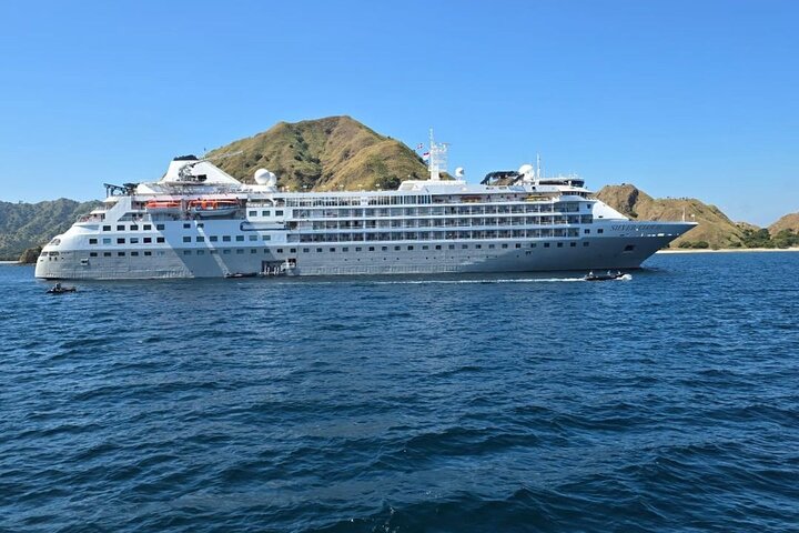 Komodo Island Shore Excursion for Cruise Ship Passengers
