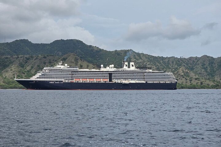 Komodo Island Shore Excursion for Cruise Ship Passengers