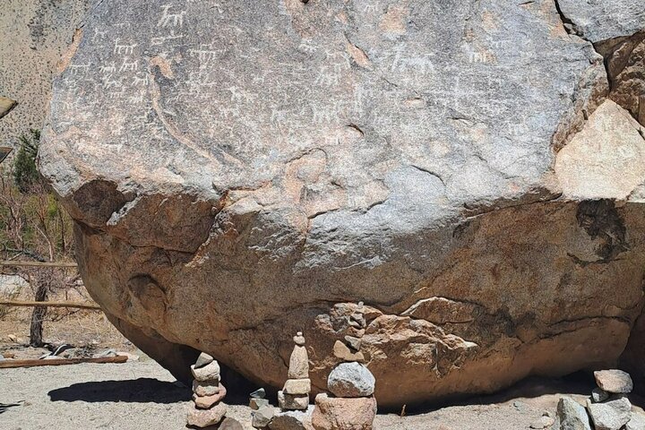 Cochiguaz a Tu Manera: Conexión y Libertad de Exploración