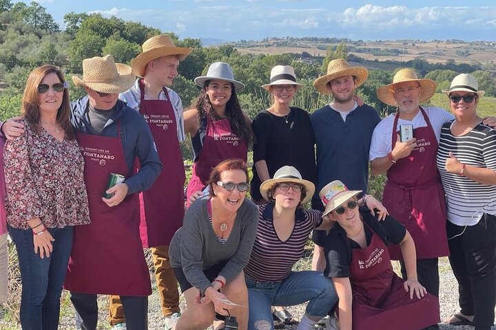 Organic cooking class with a sommelier in an Olive and wine farm