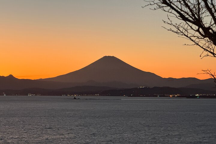 Half-Day Private & Customizable Tour with Kamakura-Born Guide