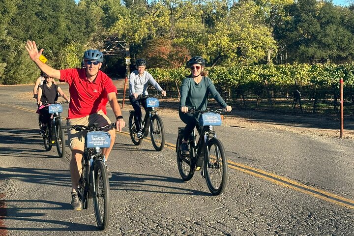 Guided Healdsburg Wine Country Bike and Wine Tasting Tour with lunch