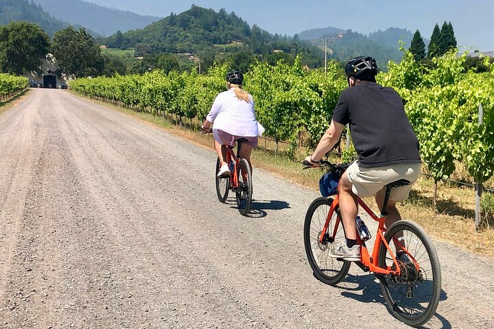 Guided Healdsburg Wine Country Bike and Wine Tasting Tour with lunch