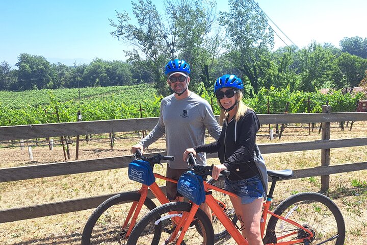 Guided Healdsburg Wine Country Bike and Wine Tasting Tour with lunch