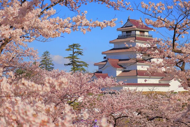 Fukushima: Aizu Tsuruga Castle & Boshin War History Tour