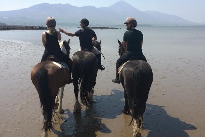 Beach & countryside horse riding outside Westport. Guided. 1 hour