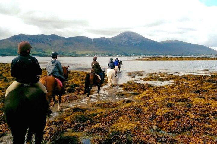 2 Hour Guided Beach and Countryside Horse Riding Outside Westport