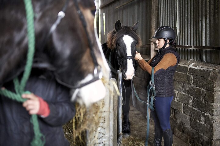 2 Hour Guided Beach and Countryside Horse Riding Outside Westport