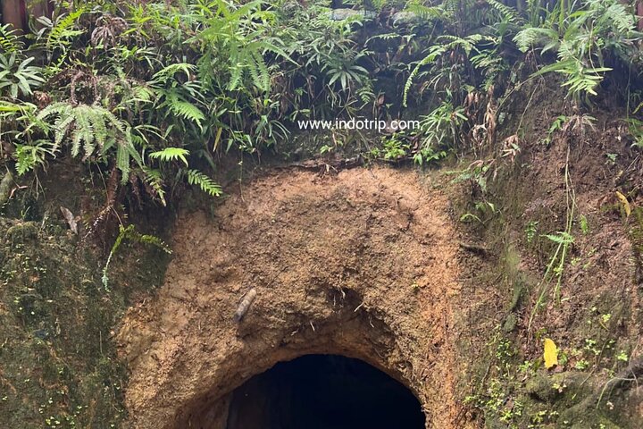 Sorong Southwest Papua Full Day Tour