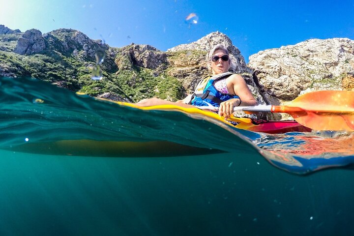 Eco-kayak in the Medes Islands