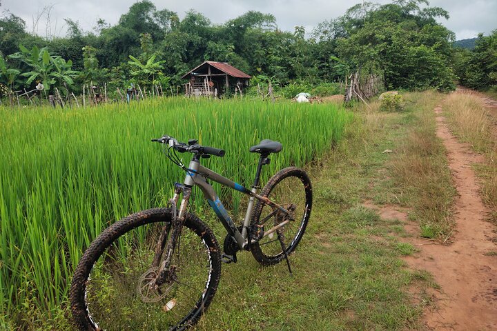 Discover Champasak’s Lush Landscapes and Ancient History by Bike