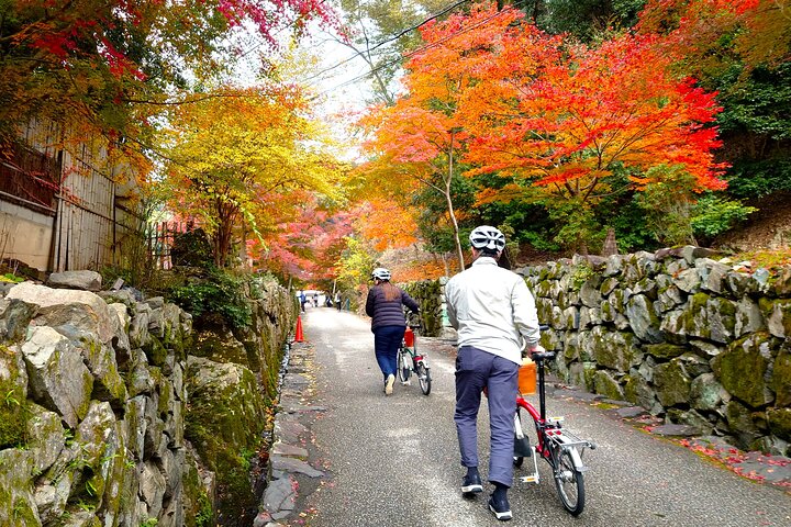 Slow Cycling Tour at Uji's Matcha Green Tea Fields and Heritage