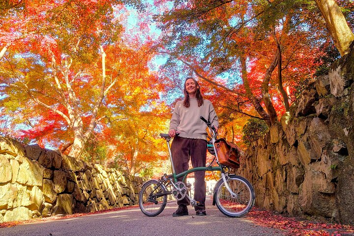 Slow Cycling Tour at Uji's Matcha Green Tea Fields and Heritage
