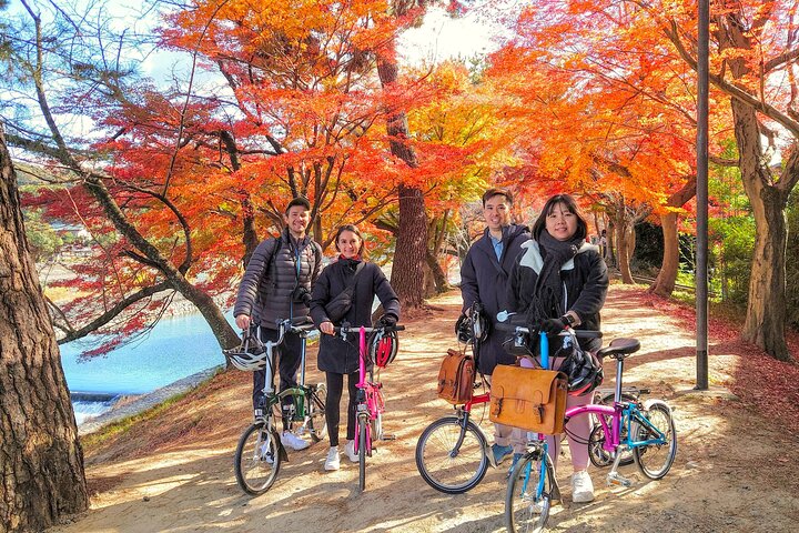 Slow Cycling Tour at Uji's Matcha Green Tea Fields and Heritage