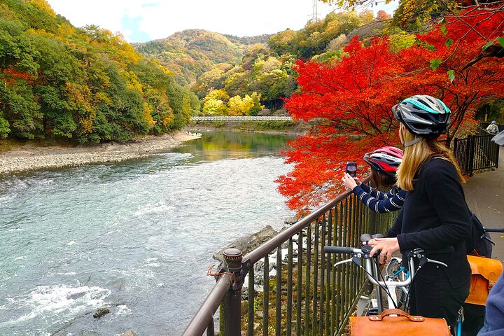 Slow Cycling Tour at Uji's Matcha Green Tea Fields and Heritage