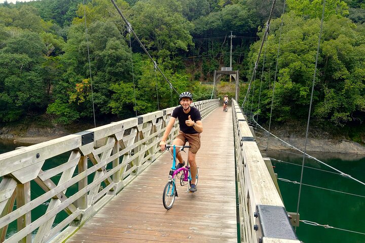 Slow Cycling Tour at Uji's Matcha Green Tea Fields and Heritage