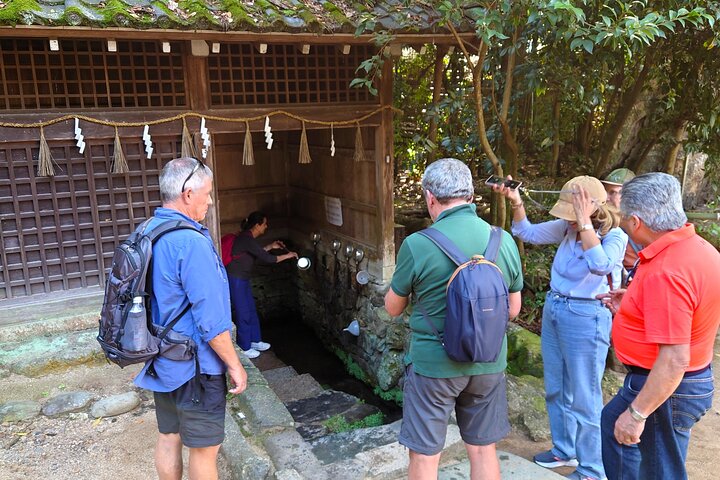 Slow Cycling Tour at Uji's Matcha Green Tea Fields and Heritage