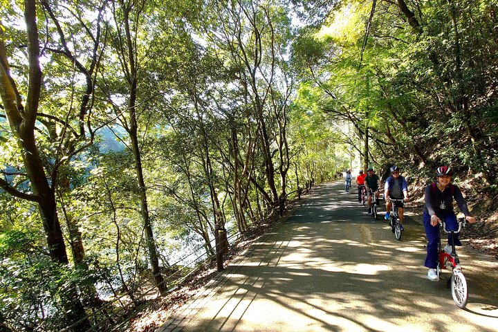 Slow Cycling Tour at Uji's Matcha Green Tea Fields and Heritage