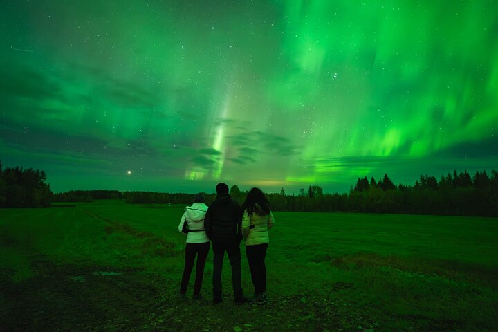 Rovaniemi: Northern Lights - Free Photos, 100% Guaranteed Refund