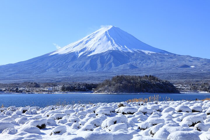 Mount Fuji Full Day Sightseeing Tour from Tokyo
