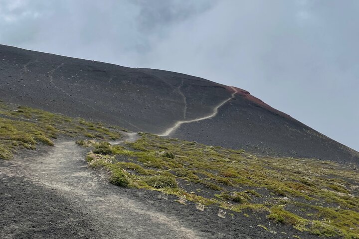 Custom Tour of the Lakes Region in Chile