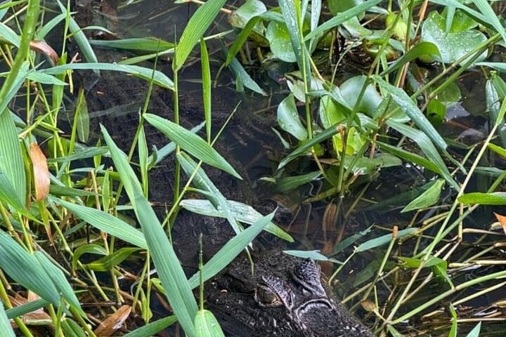 Tortuguero National Park Canal Kayaking Tour