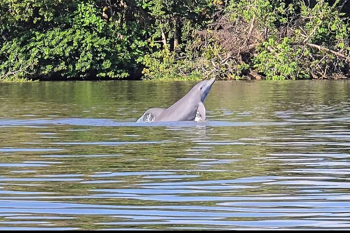 Tortuguero National Park Canal Kayaking Tour