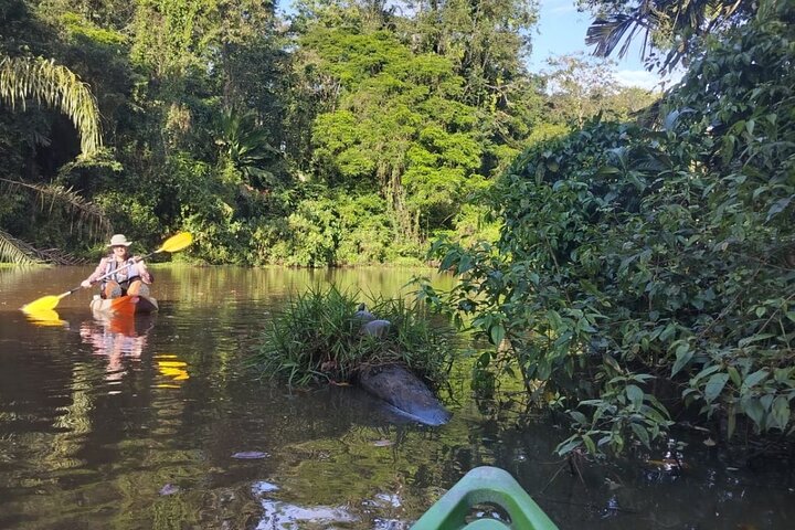 Tortuguero National Park Canal Kayaking Tour