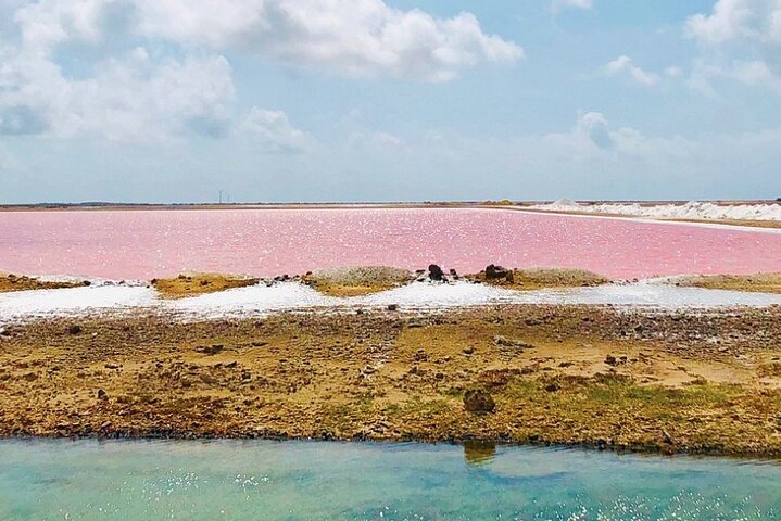 Bonaire's Best Day: Flamingos, Salt Flats, History & Beach