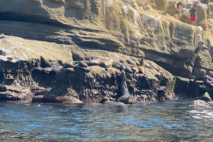 Kayak Rental For Two In La Jolla