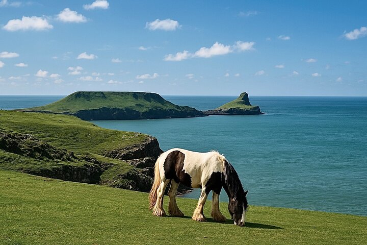 Cardiff: Gower Peninsula's Cliffs & Mumbles Scenic Day Tour