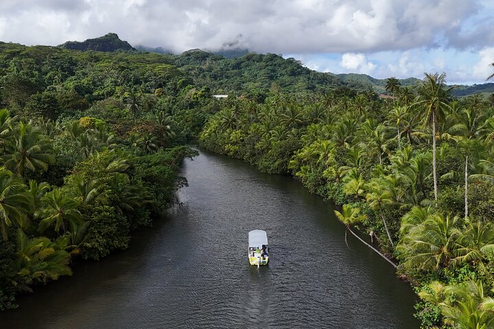 1/2 day "Treasures of Raiatea" by boat - ideal for cruise passengers