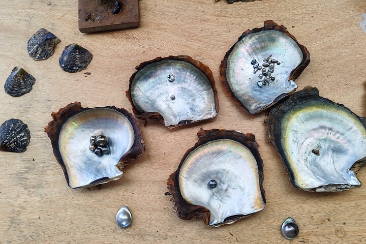 1/2 day "Treasures of Raiatea" by boat - ideal for cruise passengers