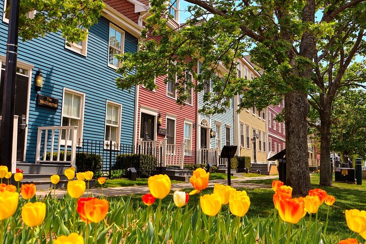 2 Hour E-bike tour of Charlottetown
