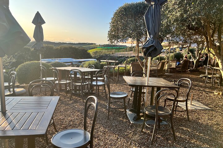 Auckland: Waiheke Island Wine Tour + Tastings & Beachfront Lunch