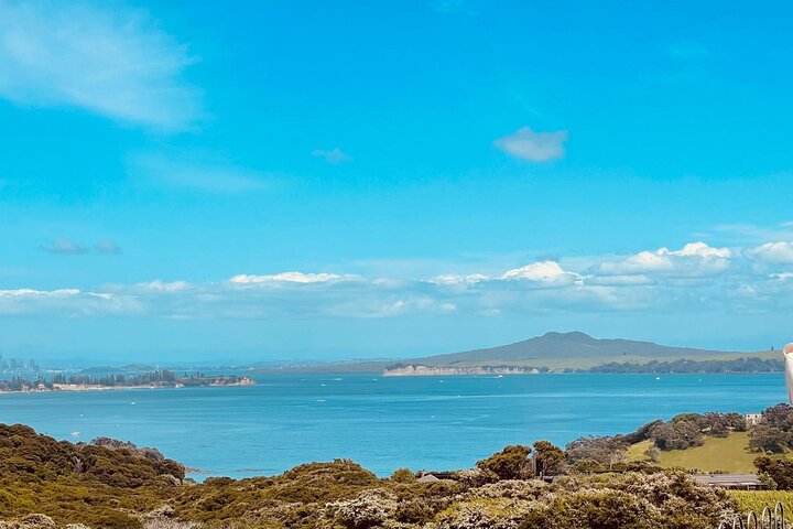 Auckland: Waiheke Island Wine Tour + Tastings & Beachfront Lunch
