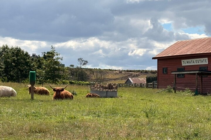 Craggy Range Deluxe Wine Tour - Private Option