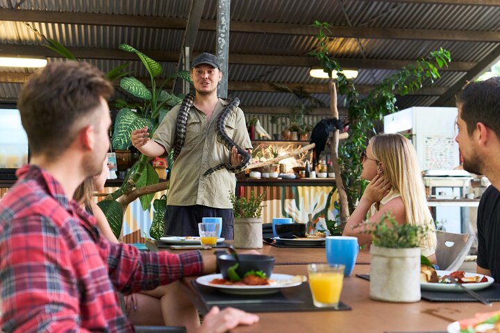 Breakfast with Koalas Experience on Magnetic Island