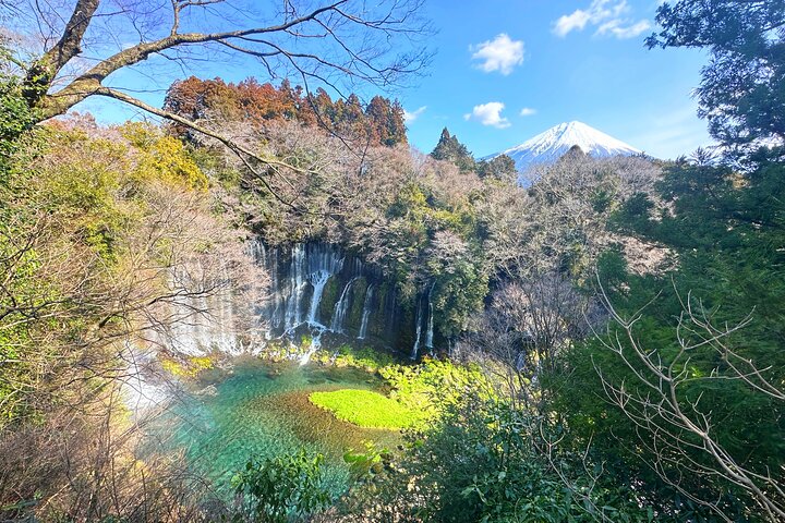 Private Full-Day Mt. Fuji Nature E-Bike Tour with Local Guide